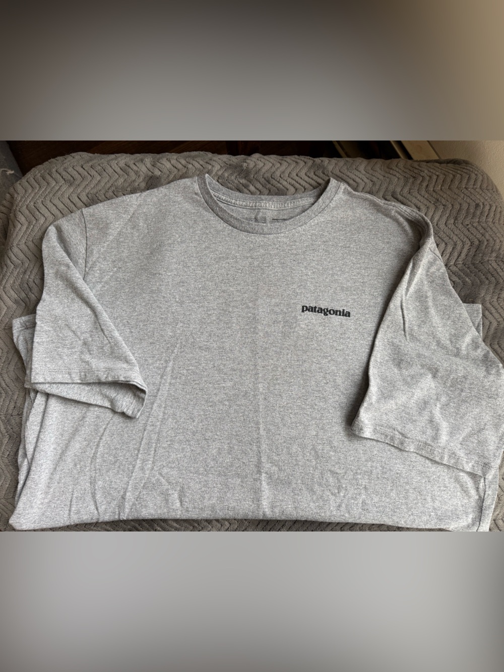 Patagonia Gray Crewneck TShirt
